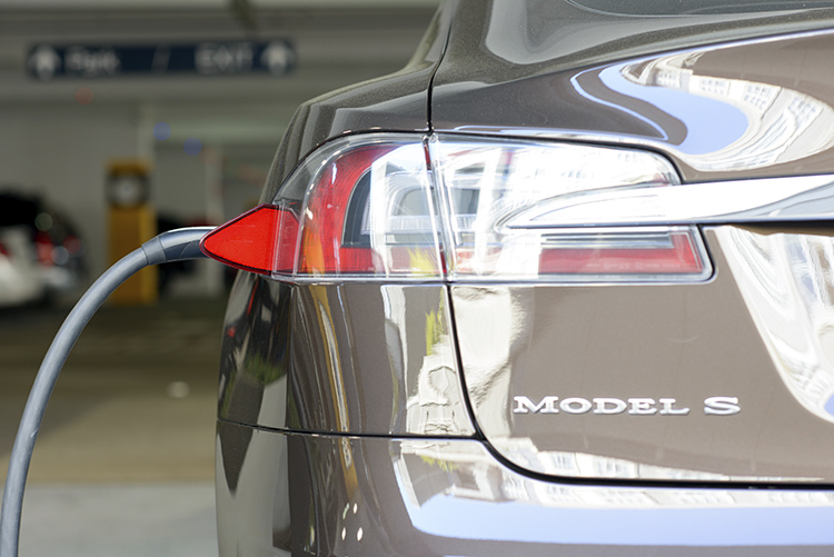 Teslas cybertruck.